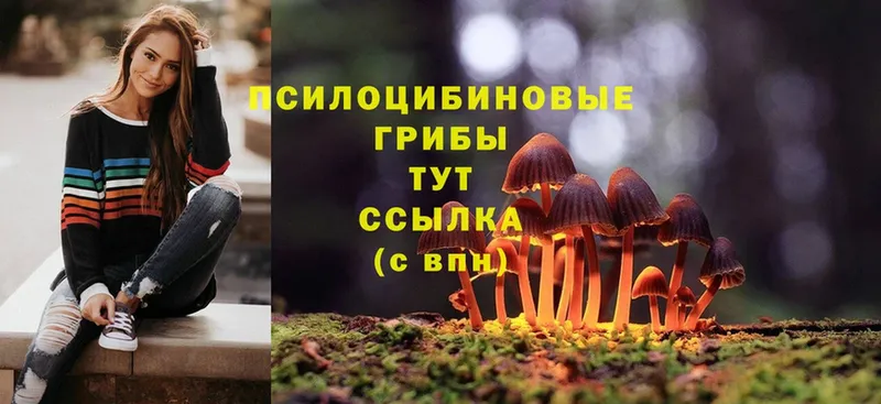 Псилоцибиновые грибы Magic Shrooms  купить  сайты  Жирновск 